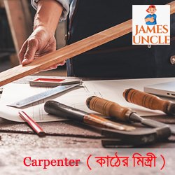 Carpenter Mr. Sumanta Roy in Bholardabri